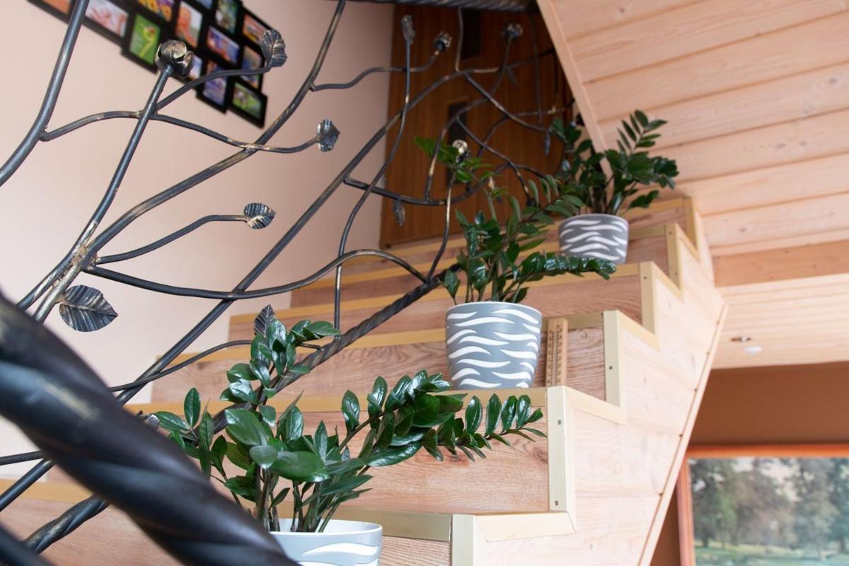 Apartamenty Pokoje Lawenda Wisła Exterior foto