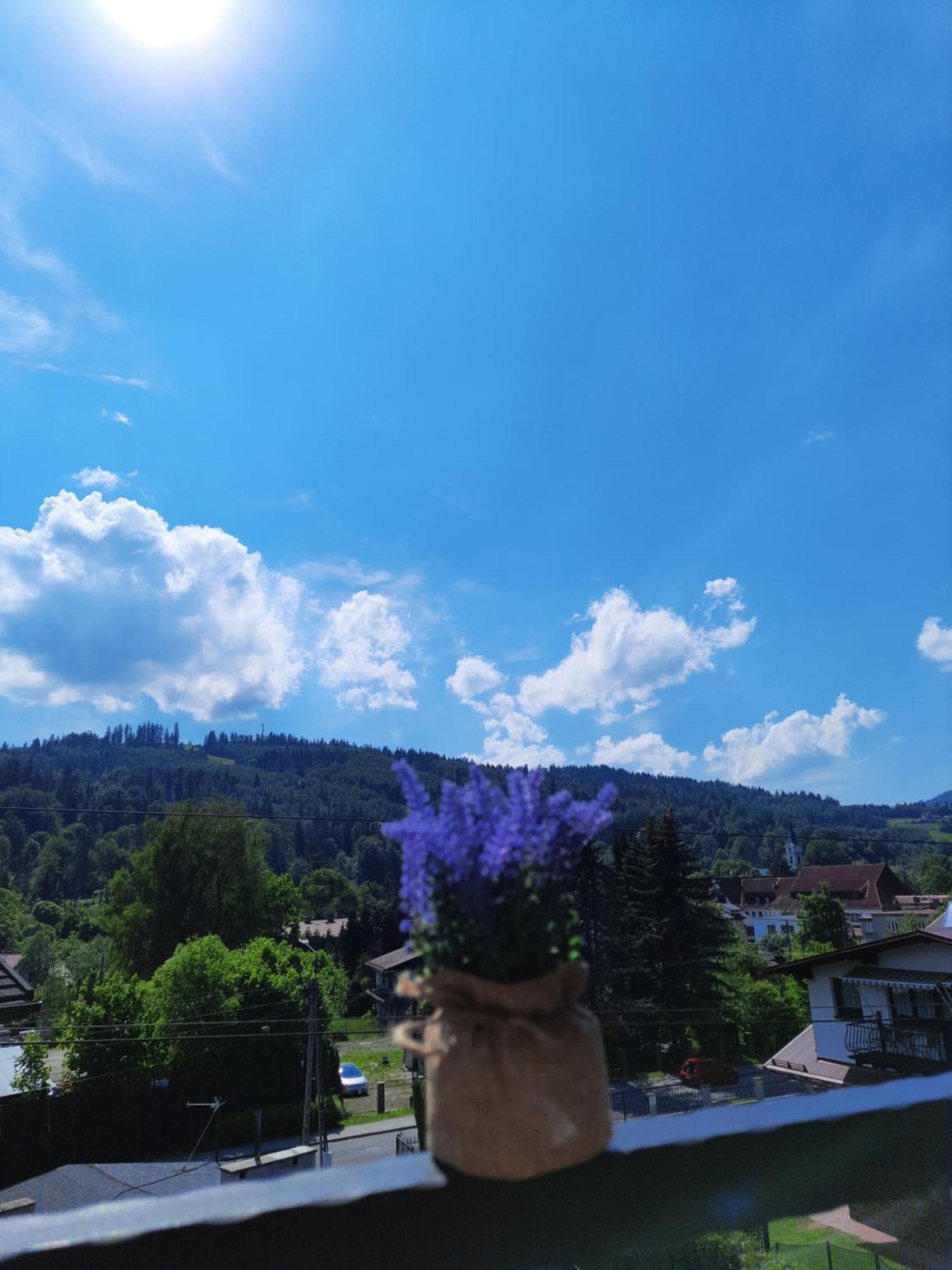 Apartamenty Pokoje Lawenda Wisła Exterior foto